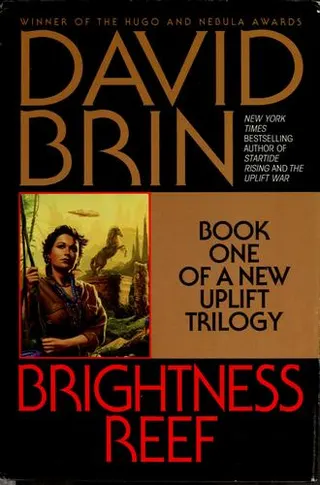Cover of Brightness reef