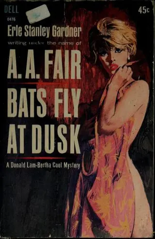 Cover of Bats fly at dusk