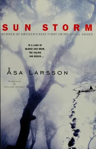Cover of Sun Storm