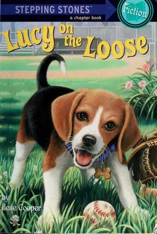 Cover of Absolutely Lucy #2: Lucy on the Loose