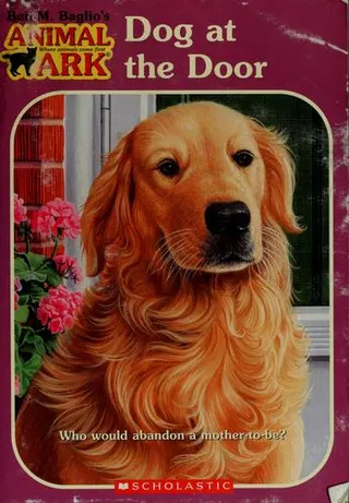 Cover of Dog at the door