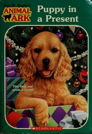 Cover of Puppy in a present