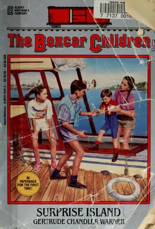 Cover of Surprise Island