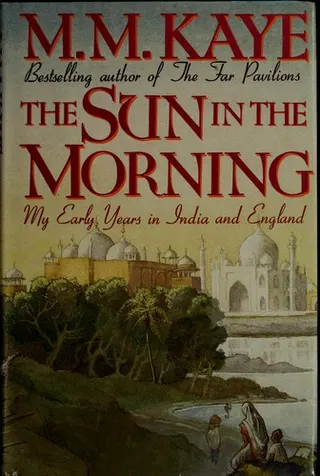 Cover of The sun in the morning