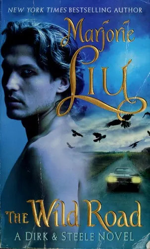 Cover of The Wild Road