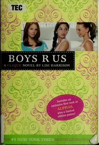 Cover of Boys R Us