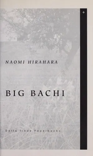 Cover of Summer of the Big Bachi