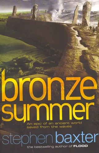 Cover of Bronze Summer