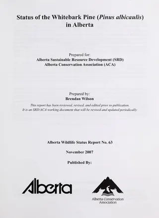 Cover of Status of the whitebark pine (Pinus albicaulis) in Alberta / prepared for Alberta Sustainable Resource Development (SRD), Alberta Conservation Association (ACA) ; prepared by Brendan Wilson