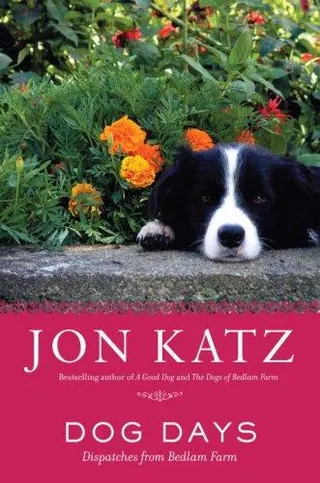 Cover of Dog Days