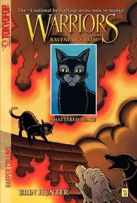 Cover of Shattered Peace