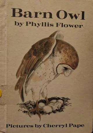 Cover of Barn owl