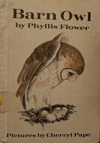 Cover of Barn owl