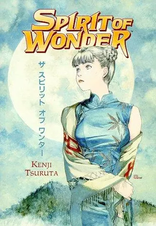 Cover of Spirit of Wonder
