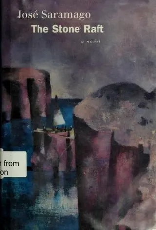 Cover of The stone raft