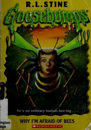 Cover of Why I'm Afraid of Bees