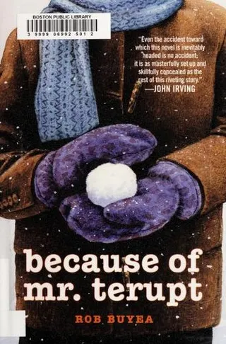 Cover of Because of Mr. Terupt