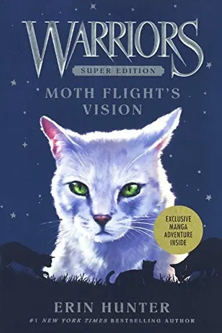 Cover of Moth Flight's Vision