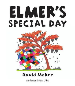 Cover of Elmer's Special Day