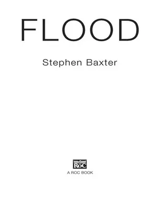 Cover of Flood