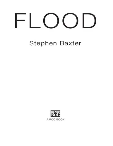 Cover of Flood