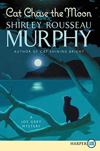 Cover of Cat Chase the Moon