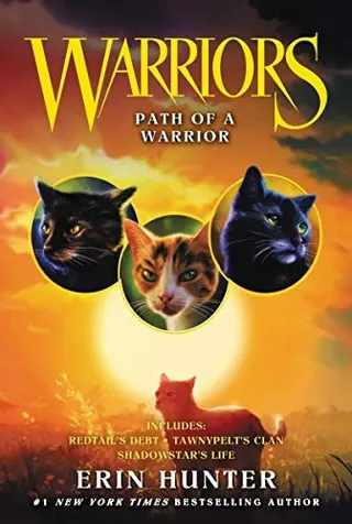 Cover of Path of a Warrior
