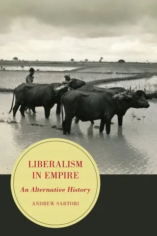Cover of Liberalism in Empire