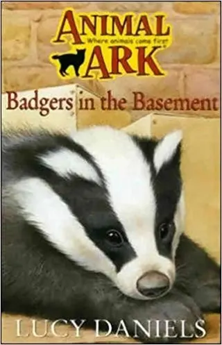 Cover of Badger in the Basement