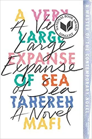 Cover of Very Large Expanse of Sea