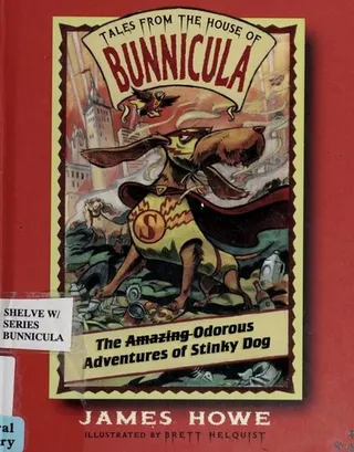 Cover of The Amazing Odorous Adventures of Stinky Dog