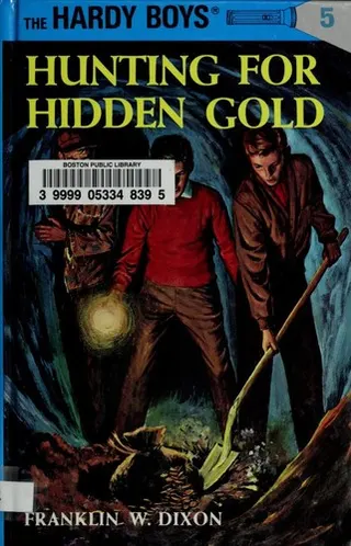 Cover of Hunting for Hidden Gold