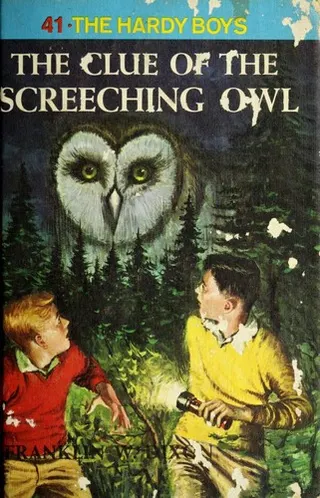 Cover of The Clue of the Screeching Owl