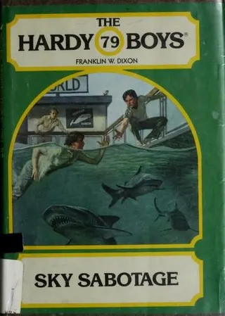 Cover of Sky Sabotage