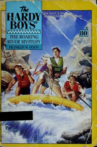 Cover of The Roaring River Mystery
