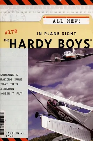 Cover of In Plane Sight