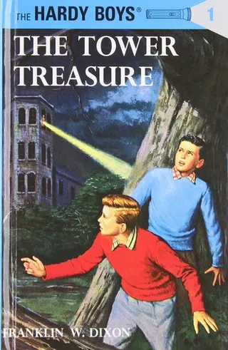 Cover of The Hardy boys