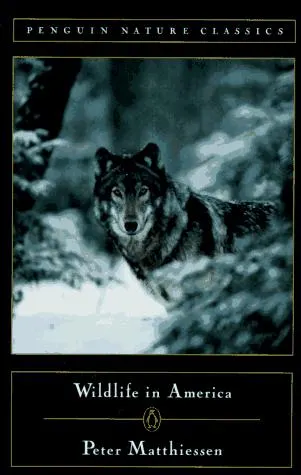 Cover of Wildlife in America
