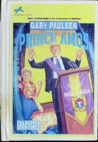 Cover of Prince Amos