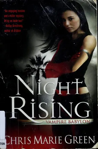Cover of Night Rising