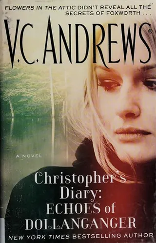 Cover of Christopher's Diary