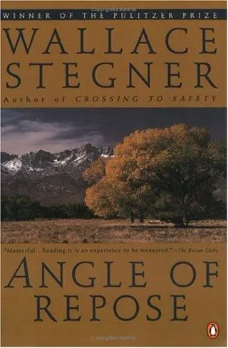 Cover of Angle of repose