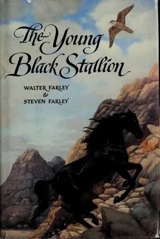 Cover of The young black stallion