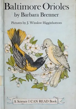 Cover of Baltimore orioles