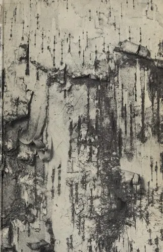 Cover of The song of Hiawatha