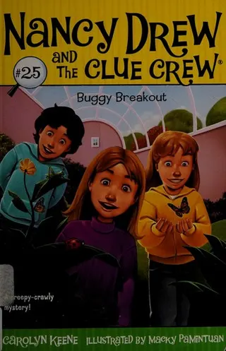 Cover of Buggy breakout