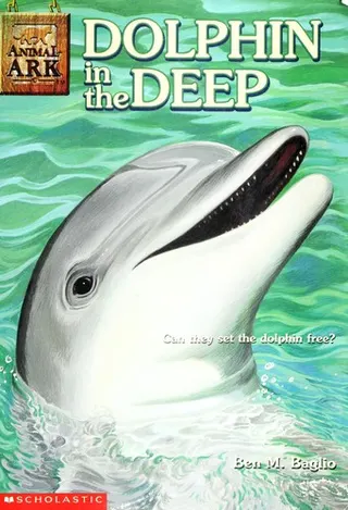 Cover of Dolphin in the deep