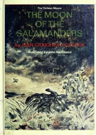 Cover of The moon of the salamanders