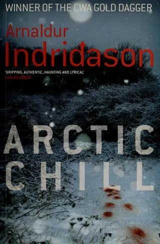 Cover of Arctic chill