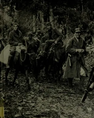 Cover of Partisans and Guerrillas (Time-Life's World War II, Vol. 12)